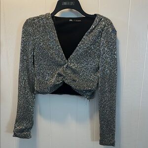 Zara Silver Long Sleeve Cropped Blouse with Tie Front and Sequin